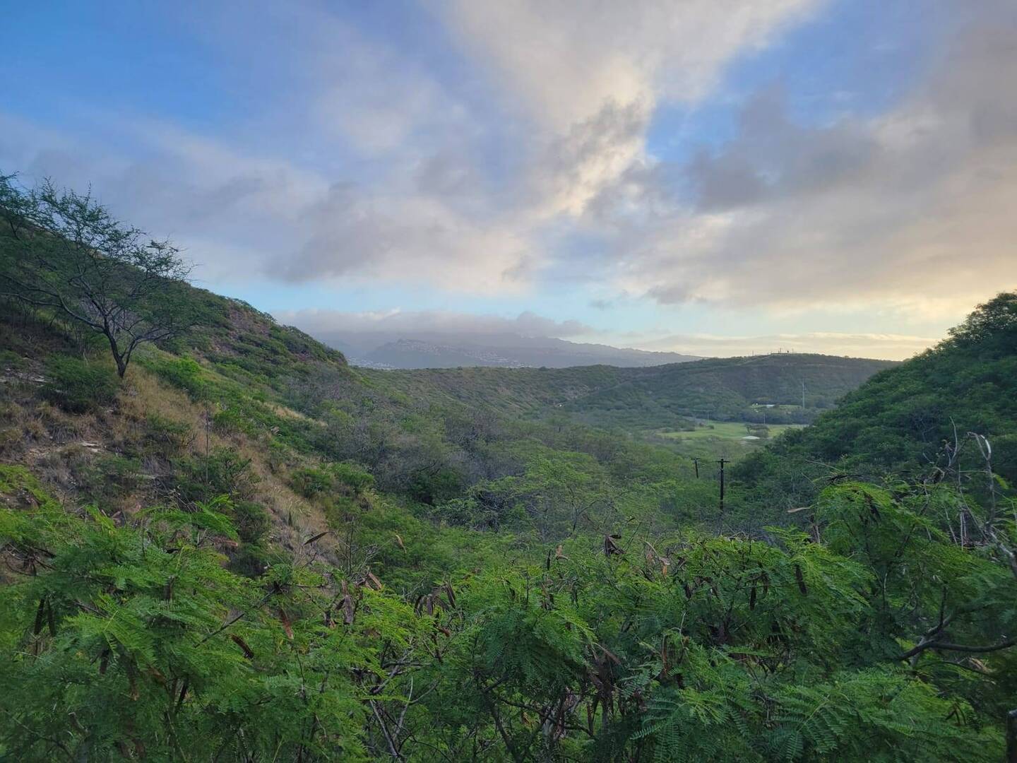 From Diamond Head
