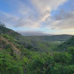 From Diamond Head