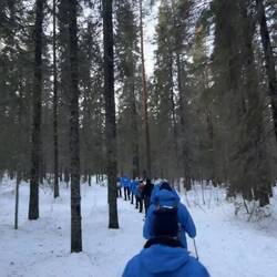 Meine Lemminge auf dem Weg zur Klippe 😉