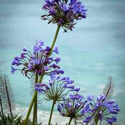 Great South West Trail — Portland, VIC.