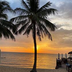 Letzter Abend mit Cocktail