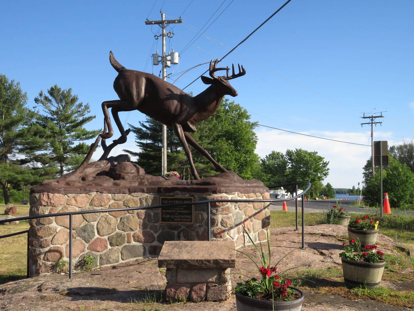 Buckhorn Buck