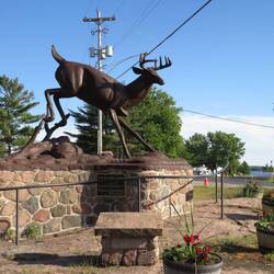 Buckhorn Buck