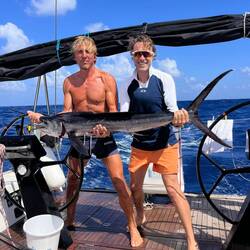 Baby Marlin! Bloody business ...