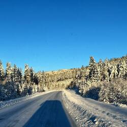 Auf der Bobbahn 😅