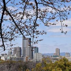 und immer wieder tolle Aussichten auf die moderne Stadt