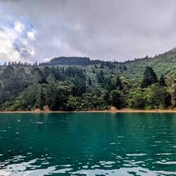 Wilson Bay, beautiful anchorage - wonder if there are fish?