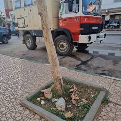 Man beachte die Knochen unter dem Baum