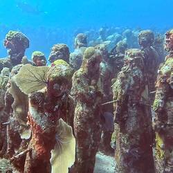 And proving a habital for marine life