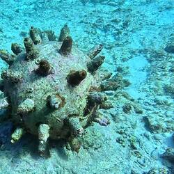 The underwater museum MUSA