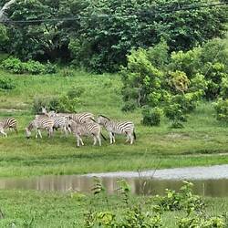 Blick von unserem Campingplatz