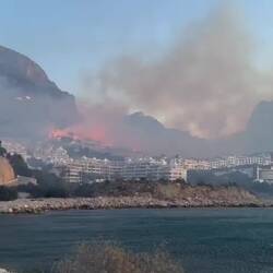 "Waldbrand" im Winter