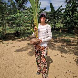 Nathalie pflanzt eine Kokospalme.