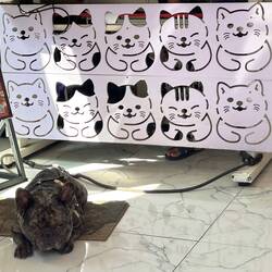 guess he has a hard life