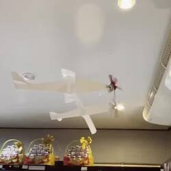 was so im Supermarkt rumfliegt