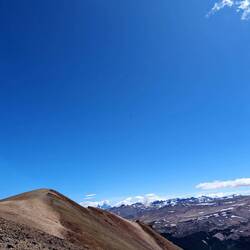 Kondor-Suchspiel: es sind fünf Kondore am Foto