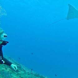 Helen getting a view