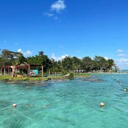 "Estromatolites" at the shore of the Lagoon of Bacalar