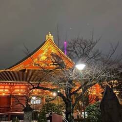 Wieder zurück in Tokio Asakusa, dort wo die Reise begann