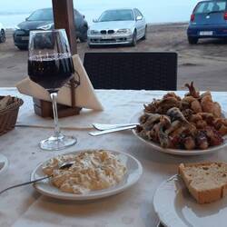 Marina Taverne: Vorspeisen, frittierte Meeresfrüchte, Zaziki pp