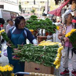 Der Blumenmarkt zieht sich einige Straßenzüge entlang