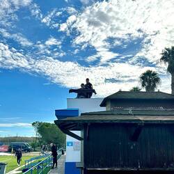 In luftiger Höhe... Livestream von Patti66