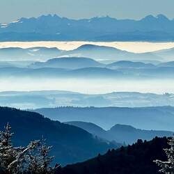 Natur pur