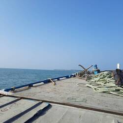 Eine Seefahrt, die ist lustig...