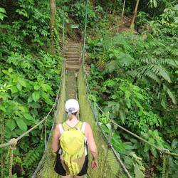 The first of many suspension bridges up in the canopies