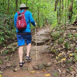 Starting the Rainmaker Trail into the rainforest