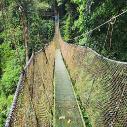 The longest and bounciest suspension bridge