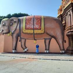 Die Knie müssen mindestens bedeckt sein...Am besten mit hübschem Wickelrock