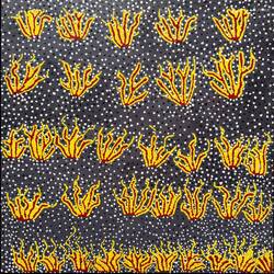 "Waru 2009" by M. Tjami ... State Library Victoria — Melbourne, VIC.