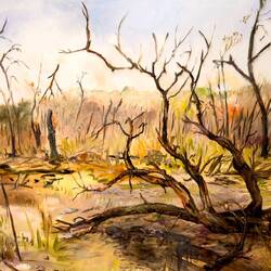 J. Davila's depiction of the devastating bushfires of 2009 ... State Library Victoria — Melbourne.