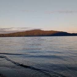 Kapiti Island