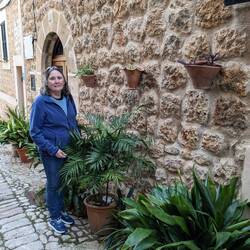Narrow alleyways with plants