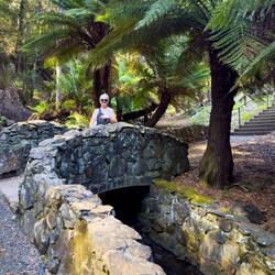 On the way up to Oldaker Falls — Burnie, TAS.