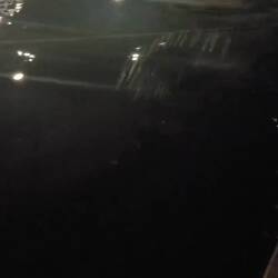 Bioluminescence at the wharves