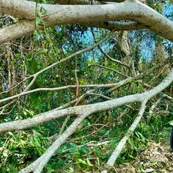 der Zyklon hinterlässt Spuren