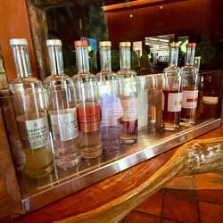 diese Sorten haben wir alle probiert