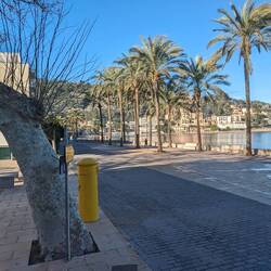 The Port of Soller