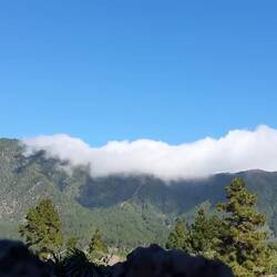 ...und wie beeindruckend sie in echt aussehen!