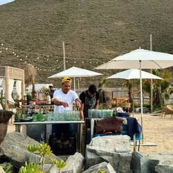 Die Jungs an der Bar waren fleißig