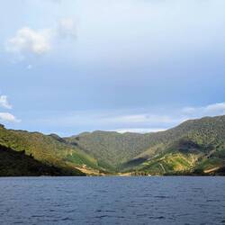 Afternoon sun on the hills