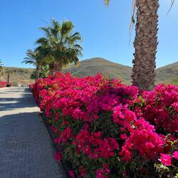 Warten auf das Taxi nach Todos Santos Altstadt