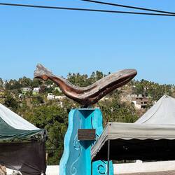 Der Wal begegnet dir überall