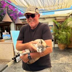 Günter laufen die Katzen nach...