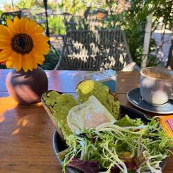 Tolles Frühstück - Avocado mit Ei und Salat