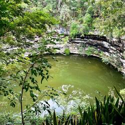 Sacred Cenote