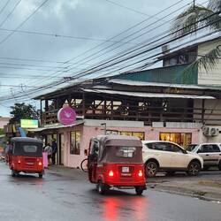 Some of the local transportation